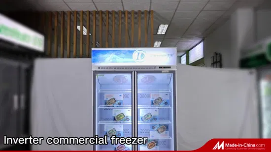 Congelatore frigorifero con doppia porta in vetro trasparente a raffreddamento dinamico all'ingrosso con compressore inverter