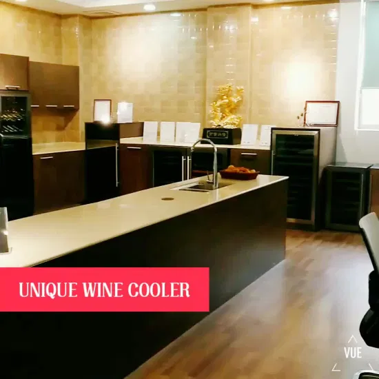 Frigo per vino con inverter Frigo per vino e bevande a due zone da incasso